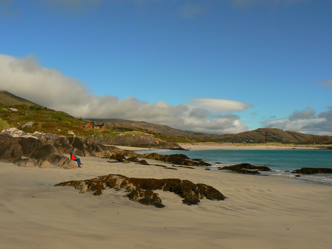 Wild Derrynane Walking Tours