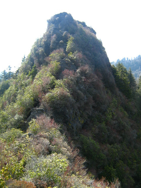 Chimney Tops Trail-大雾山国家公园必去景点