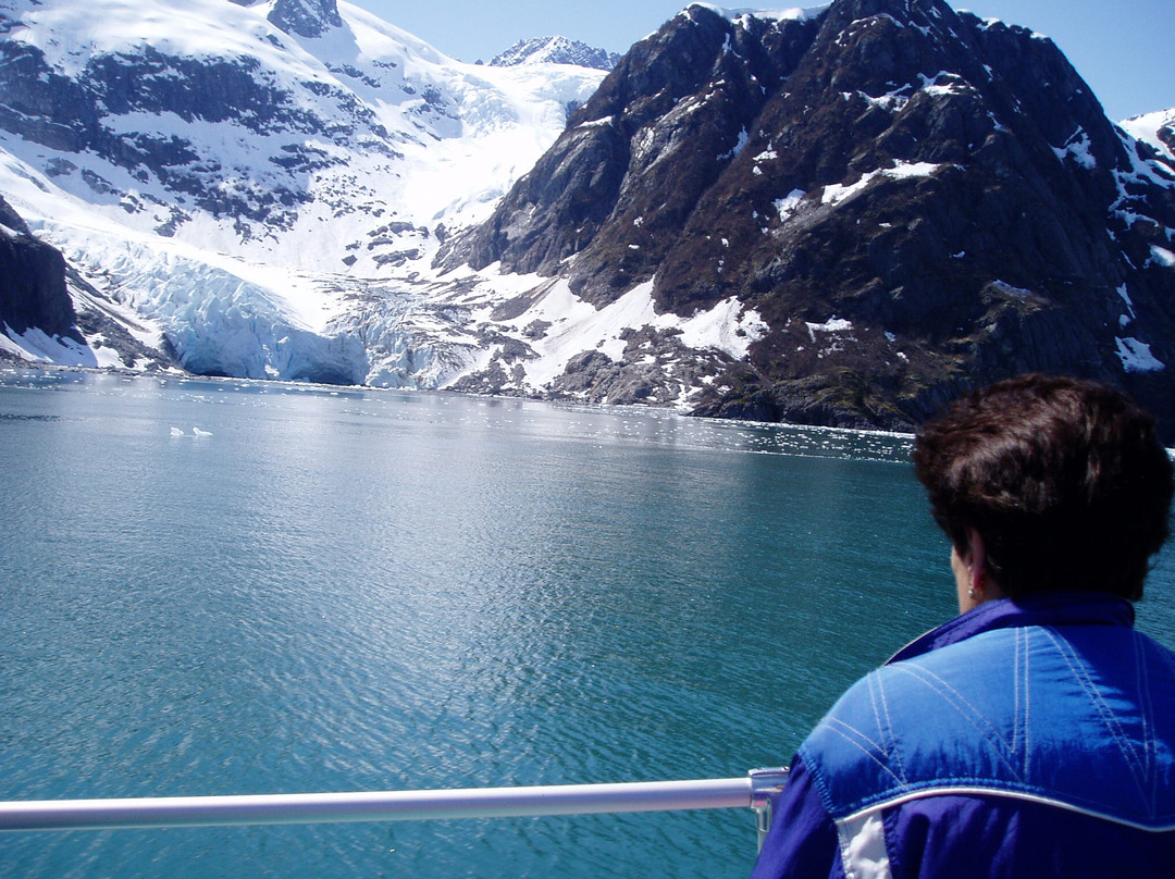Holgate Glacier景点图片