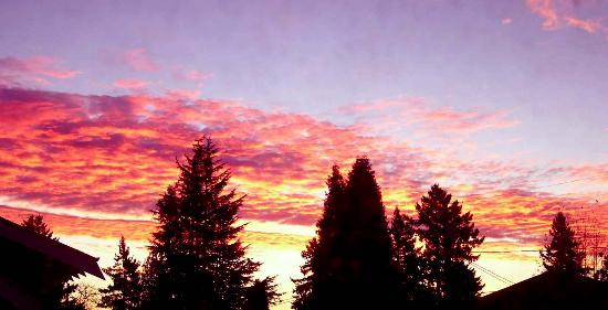 Oregon Coast-俄勒冈必去景点