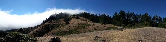 Mount Tamalpais State Park景点图片