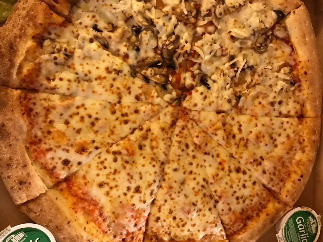 Papa Johns Pizza