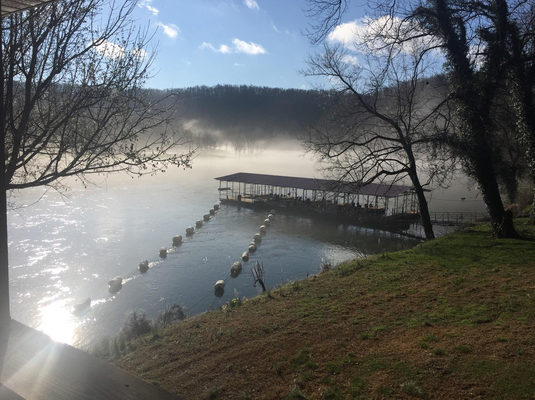 Wildcat Shoals Resort