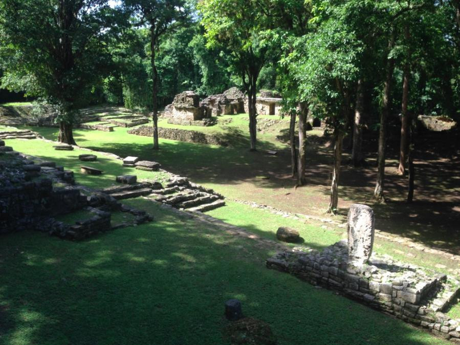 Ocosingo餐馆和美食-Escudo jaguar