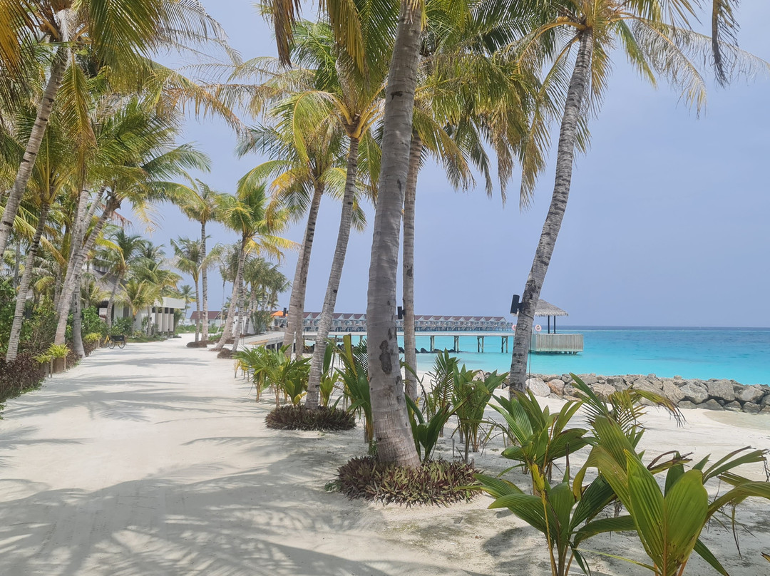 OBLU SELECT Lobigili主图