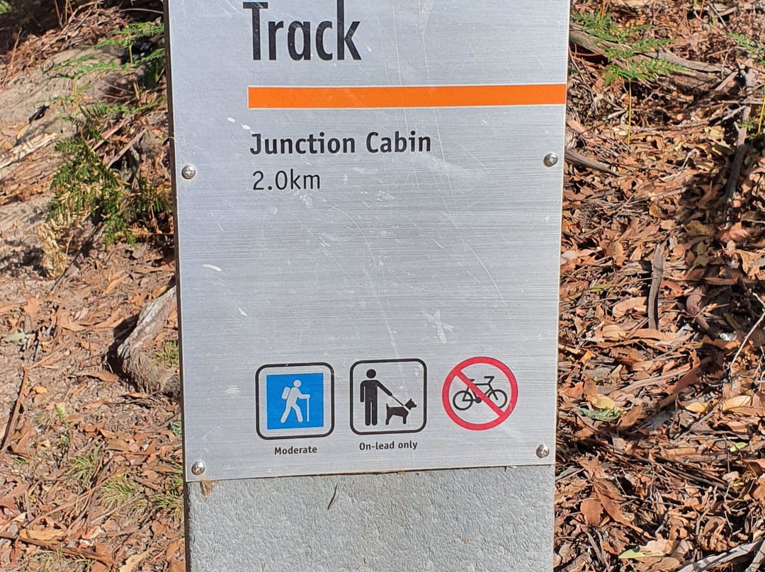 Myrtle Gully Aka Oates Falls景点图片