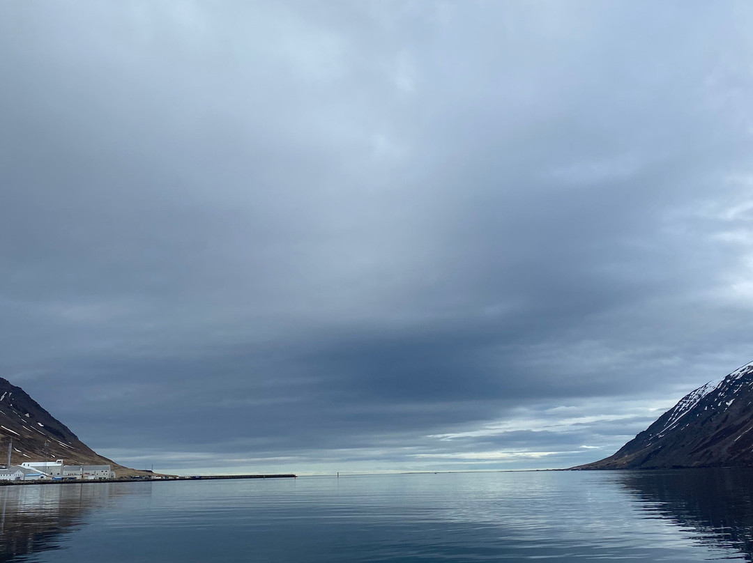 Sigló Sea-Siglufjordur必去景点