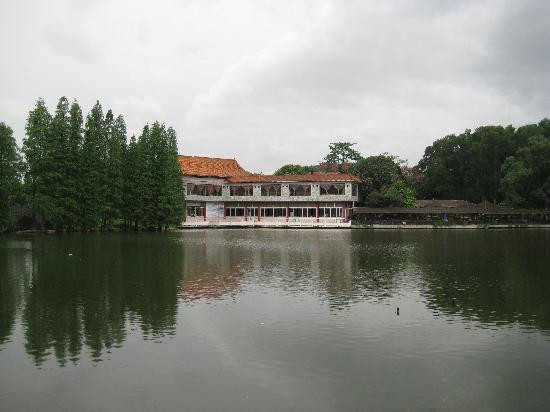 华南植物园-广州市必去景点