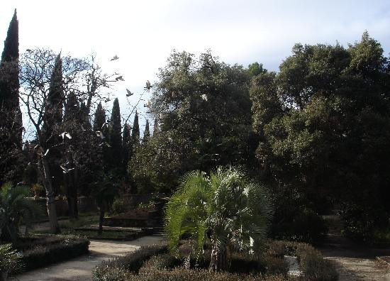 Jardin des Plantes-蒙彼利埃必去景点