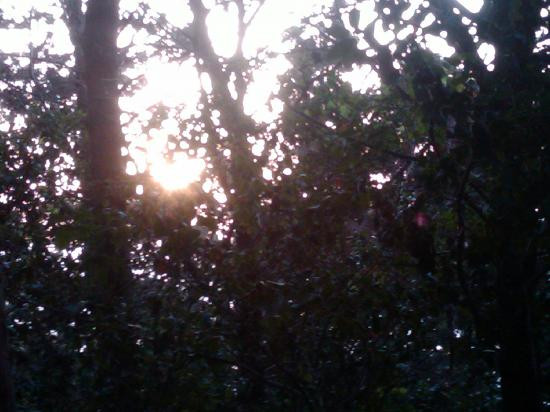 Stella Maris Monastery-Haifa必去景点