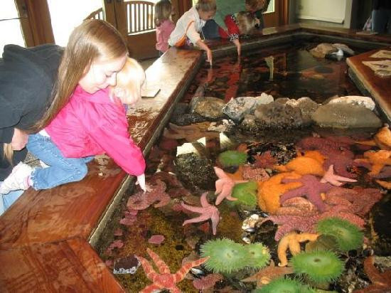 Oregon Coast Aquarium-纽波特必去景点