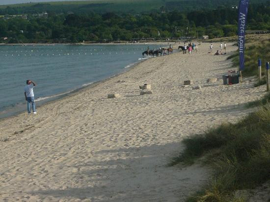 Studland Trekking Centre景点图片