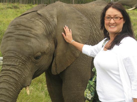 Knysna Elephant Park景点图片