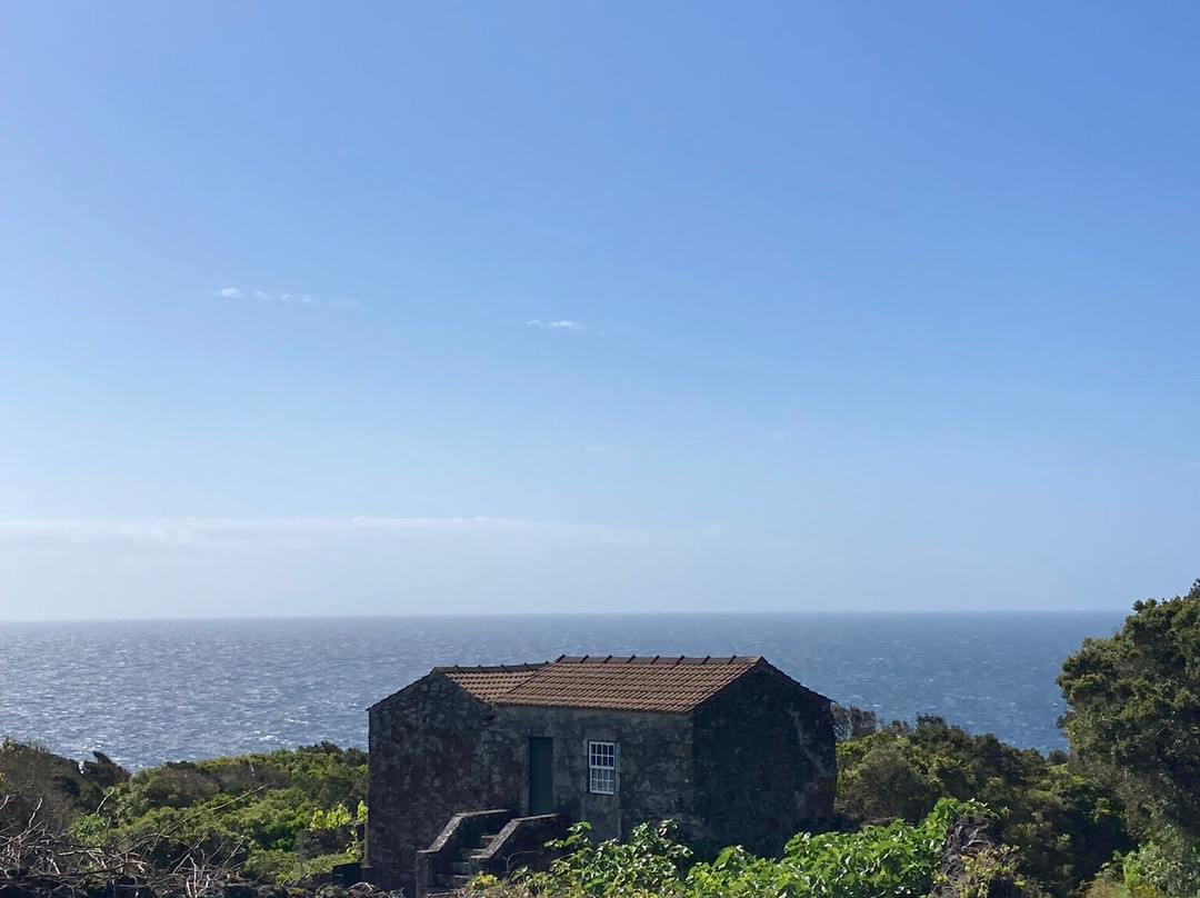 Ponta da Ilha Trail-Piedade必去景点