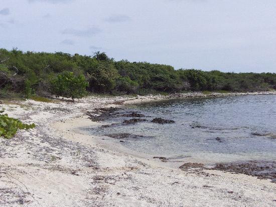 Playa La Chiva-Puerto Ferro必去景点