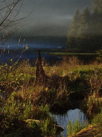 Tongass National Forest-凯奇坎必去景点