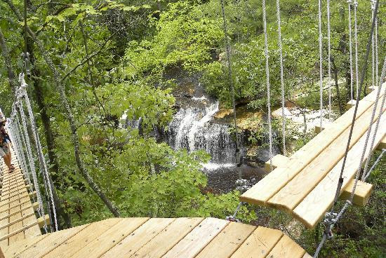 ZipQuest Waterfall & Treetop Adventure-费耶特维尔必去景点