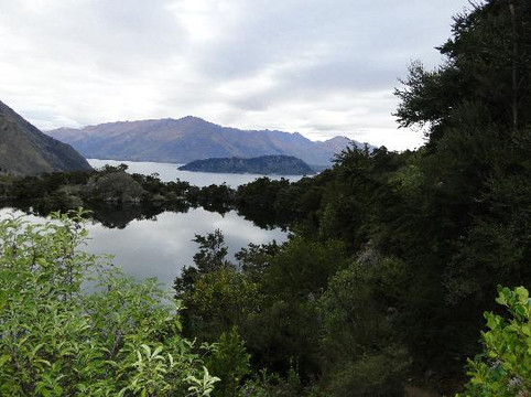 瓦纳卡生态之旅-瓦纳卡必去景点