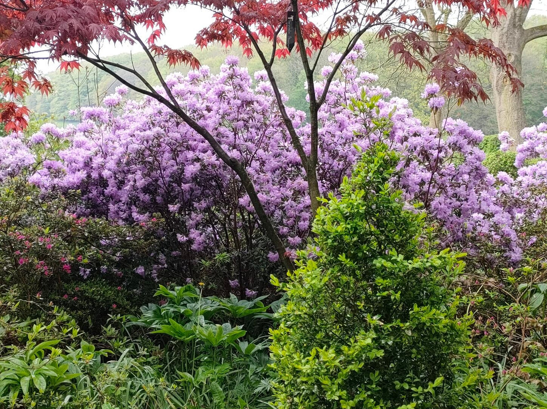 Jardin Du  Mont Des Recollets景点图片