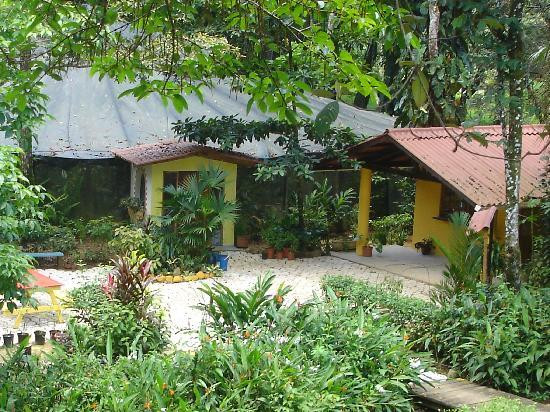Bocas Butterfly Garden景点图片