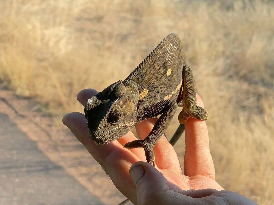 Nandzana Safaris-伐拉博瓦必去景点
