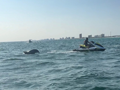 AAA Jet Ski Rental-巴拿马城必去景点