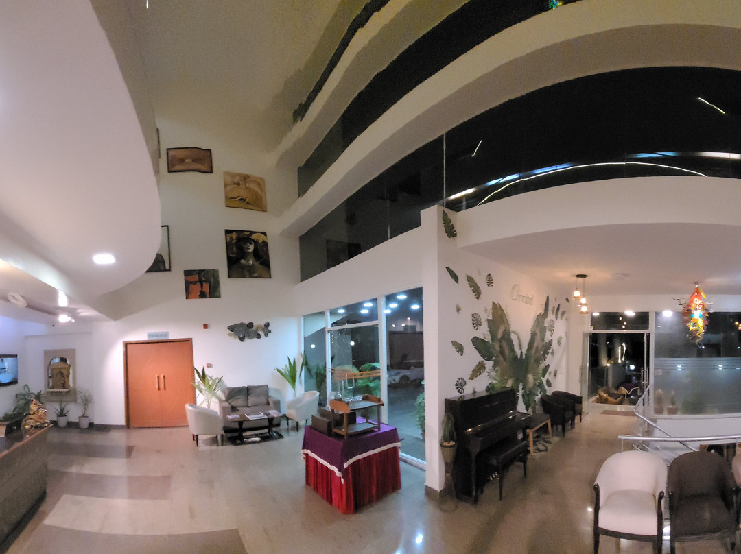 The Orritel Hotel, Hinjewadi主图