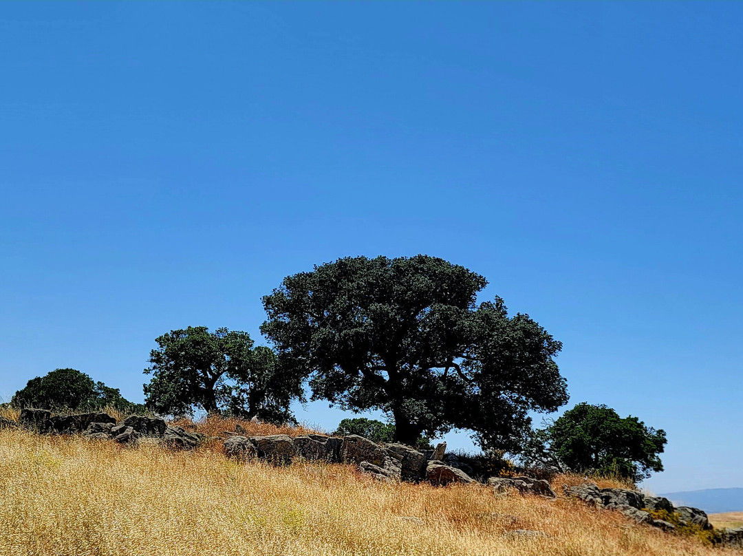 Brushy Peak Regional Preserve景点图片