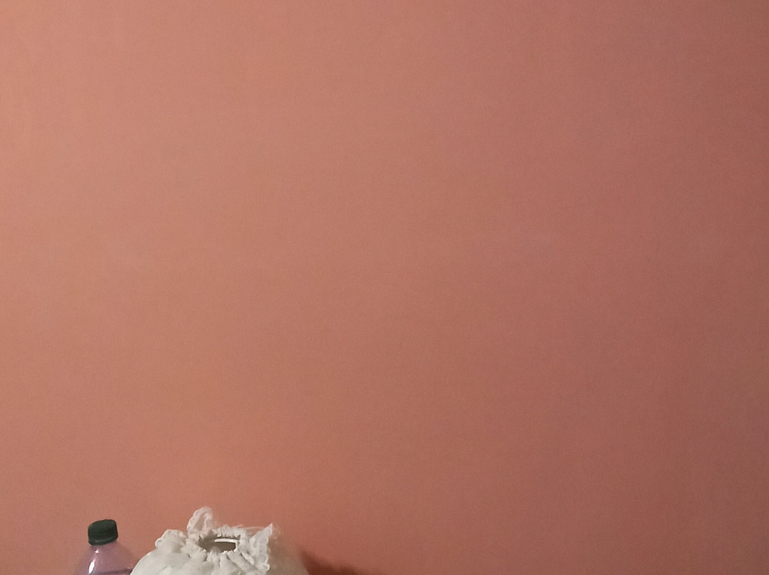 罗萨蒂酒店主图