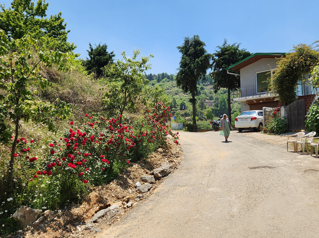 Rose Cottage, Hartola主图