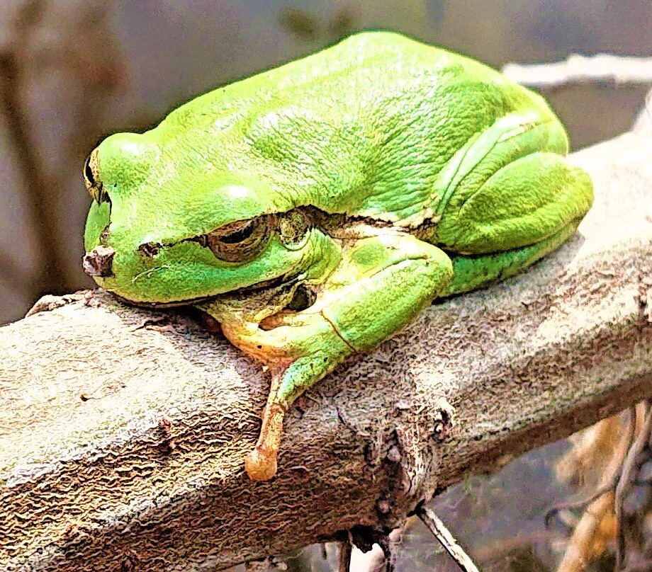 Le Marais D'andryes-Andryes必去景点