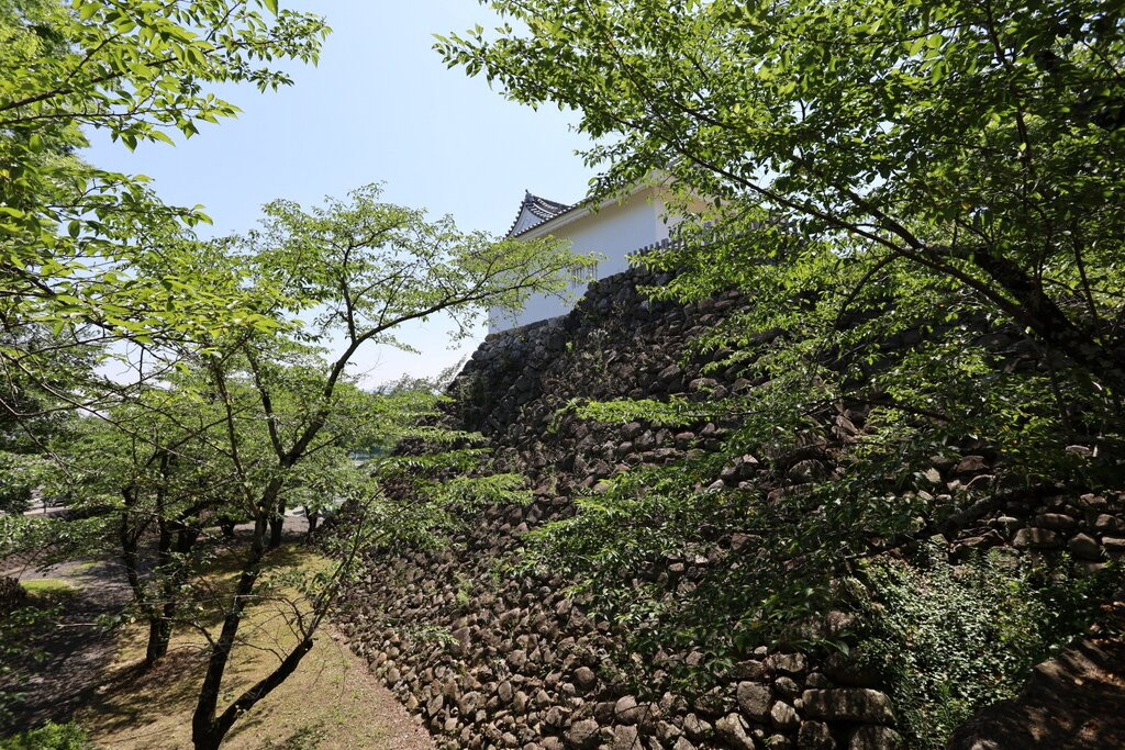 Kameyamajo Ato景点图片