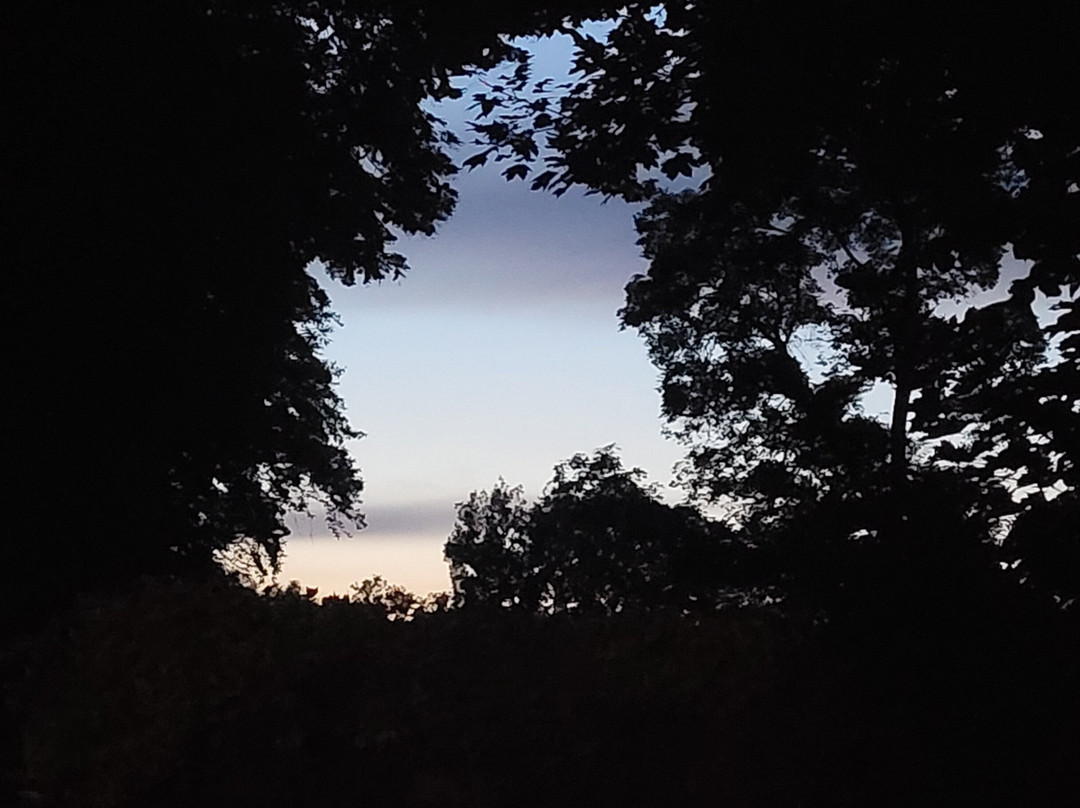 La Bromontoise主图