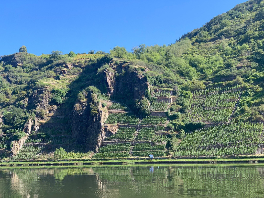 施耐德费瑞恩葡萄酒庄主图