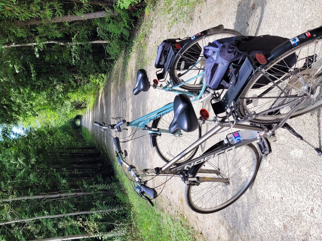 Georgian Trail-科林伍德必去景点