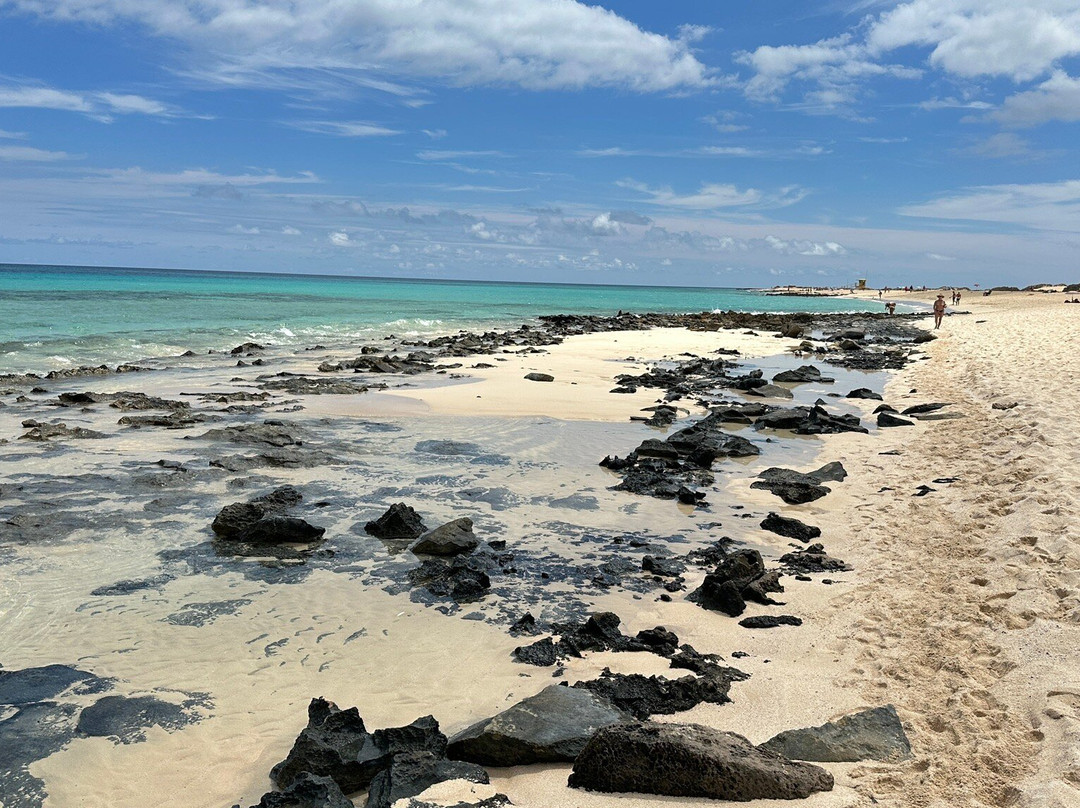 Playa Larga-科拉雷侯必去景点