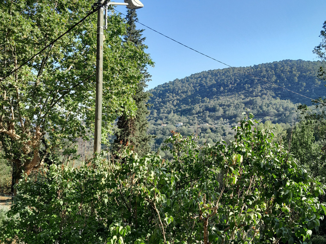 Le Vallon de Bargemon主图