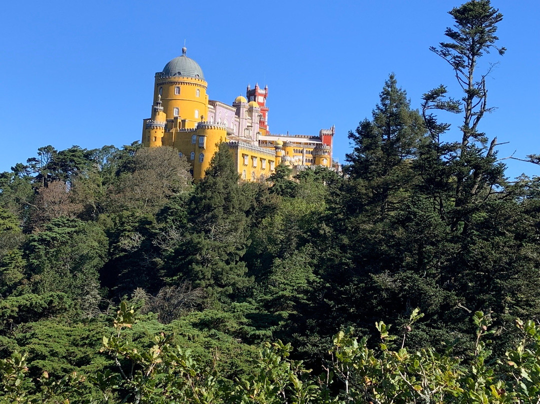 Modern Tours-里斯本必去景点