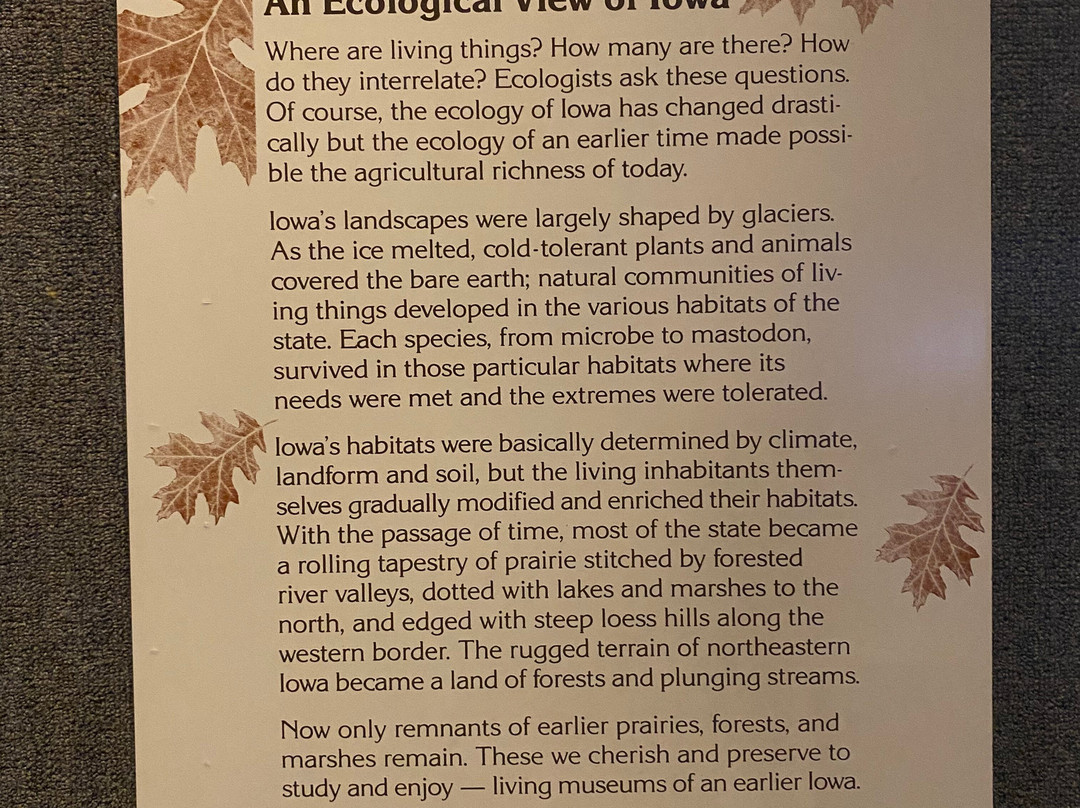 Museum of Natural History-爱荷华城必去景点