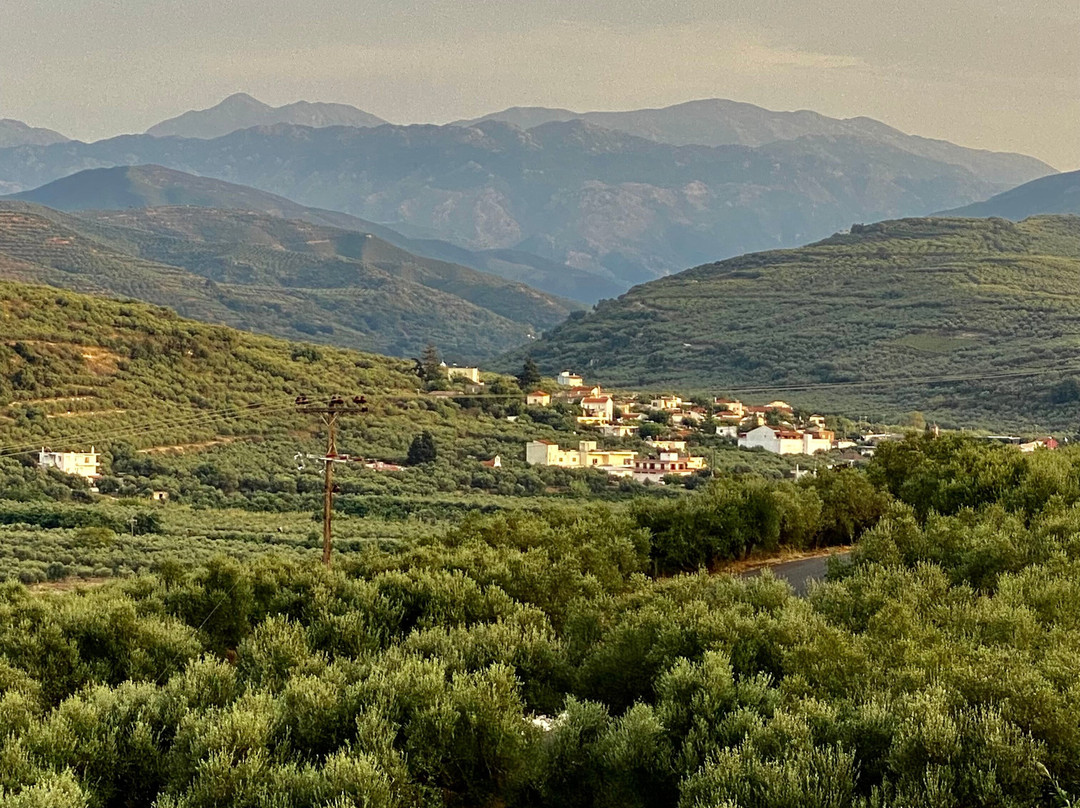 Three Pearls Apartments, Rose主图