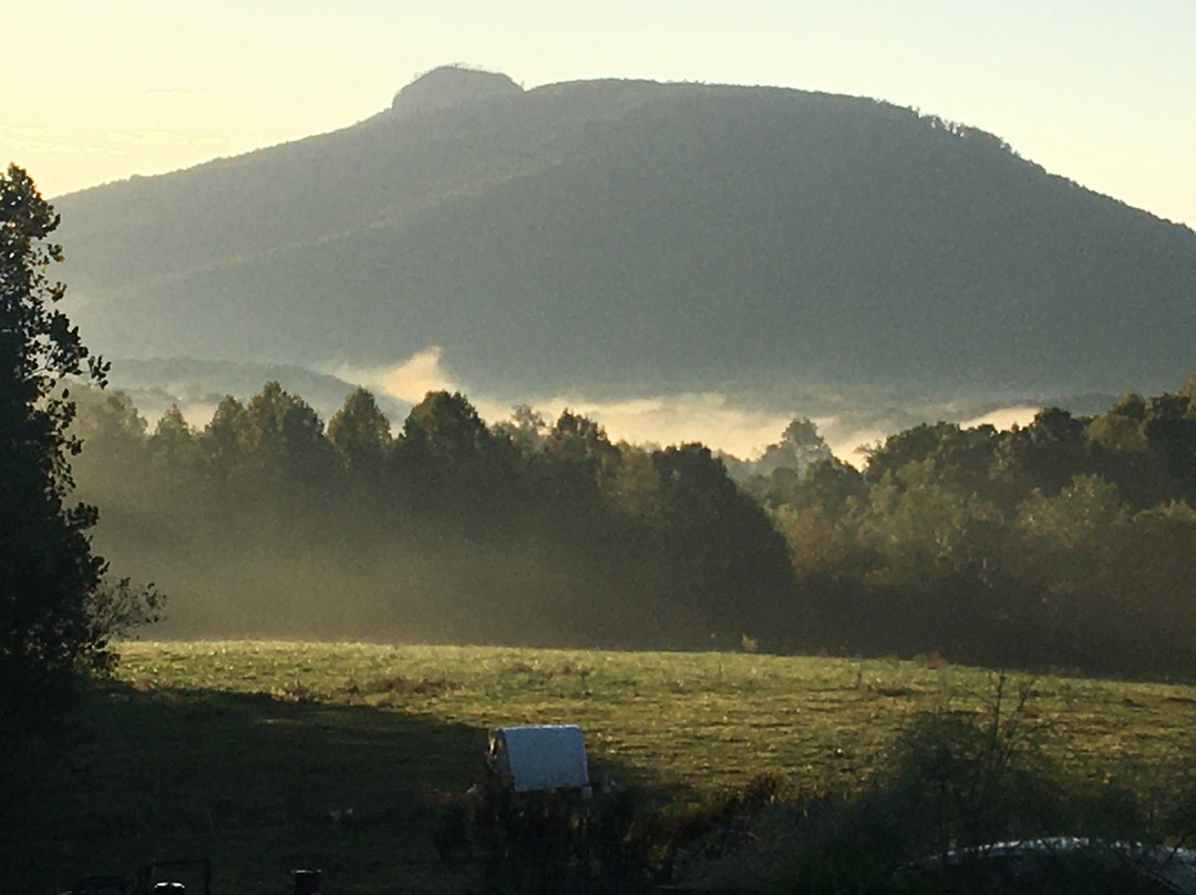A Mighty Oak Bed & Breakfast主图