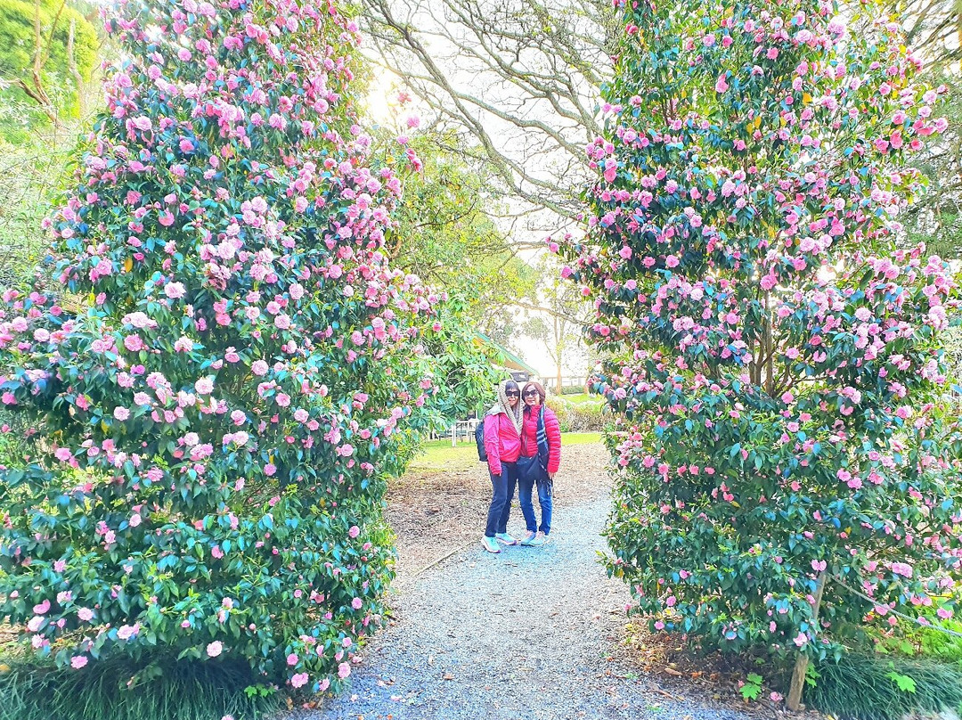 丹顿农山顶餐厅-墨尔本必去景点