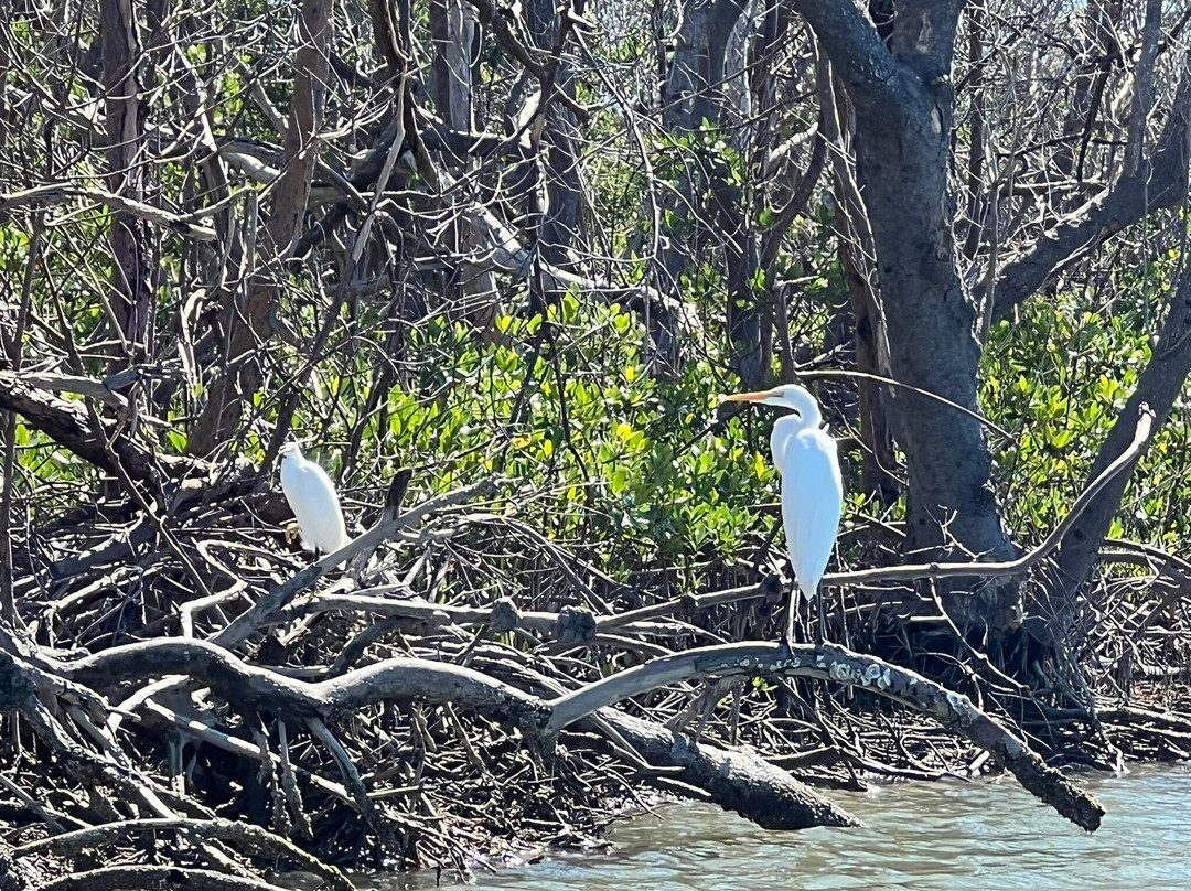 Mike's Coastal Expeditions-博尼塔斯普林斯必去景点