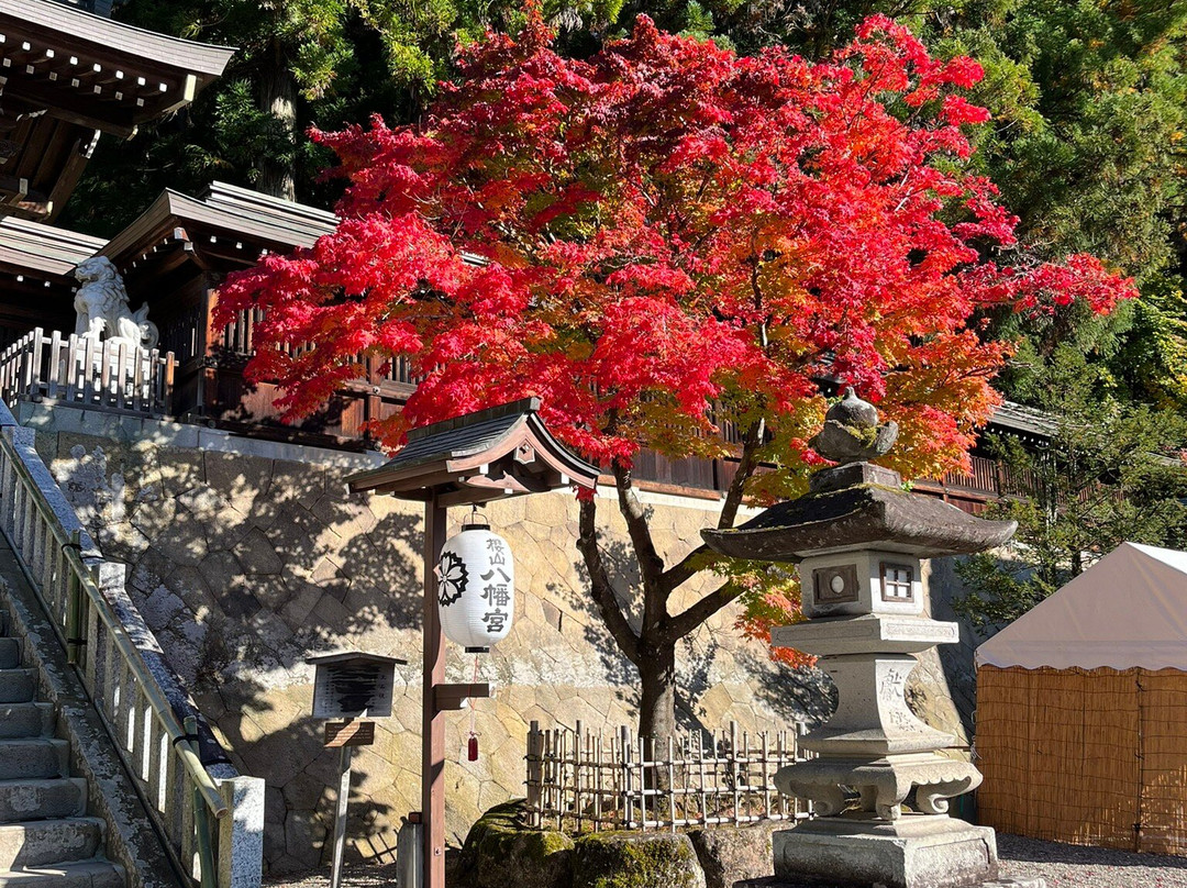 Sakurayama Hachimangu Shrine景点图片