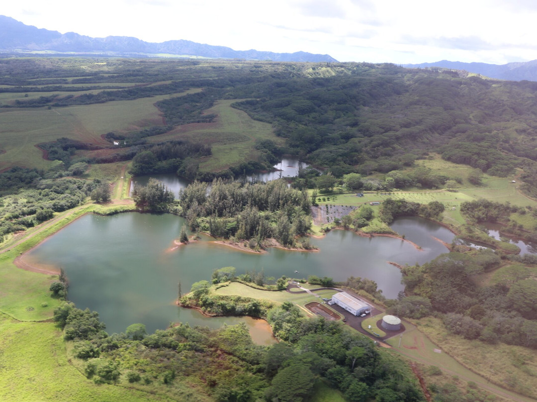 Manawaiopuna Falls (Jurassic Park Falls)-埃里埃利必去景点