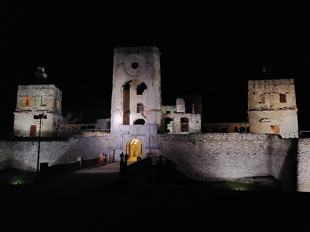 Krzyztopor Castle景点图片