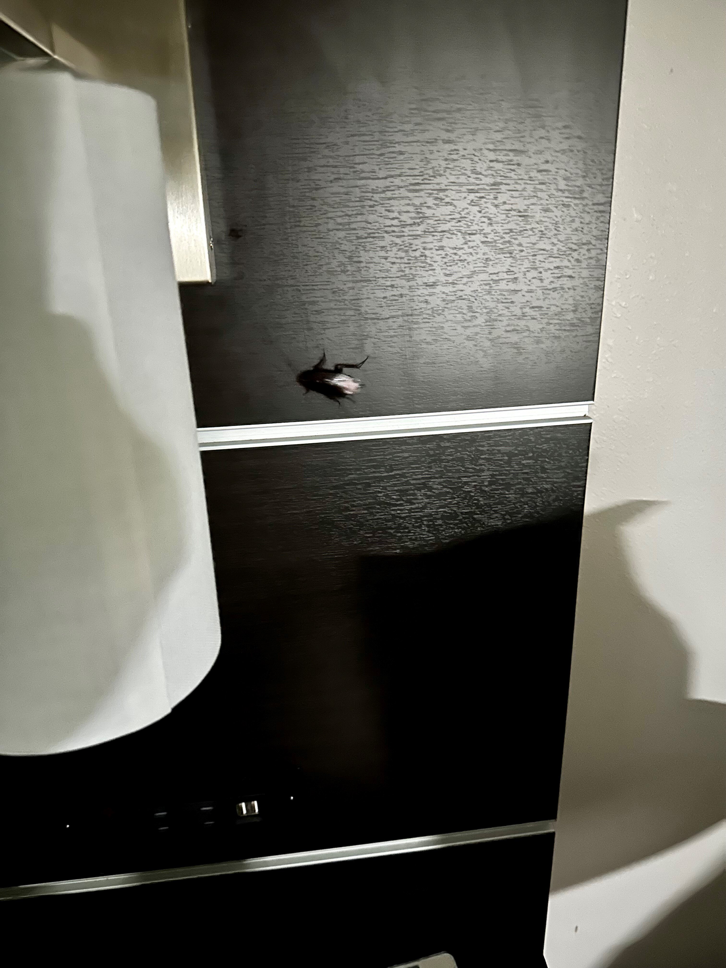 Holiday Inn Express & Suites Moody - Leeds By IHG-客卧