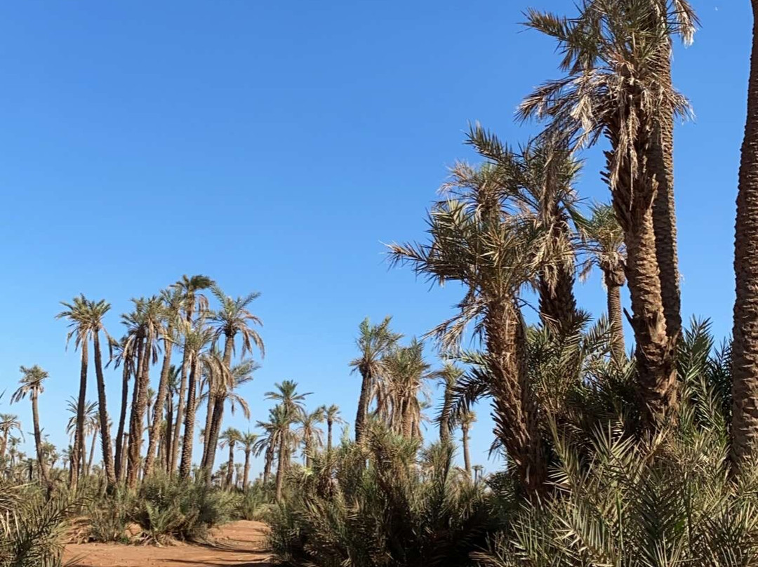 Excursion Quad Marrakech景点图片