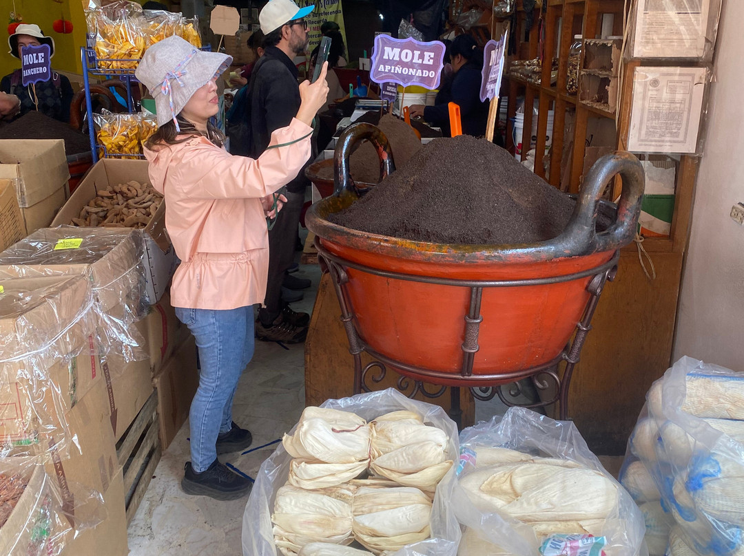 Pata De Perro Mx-墨西哥城必去景点