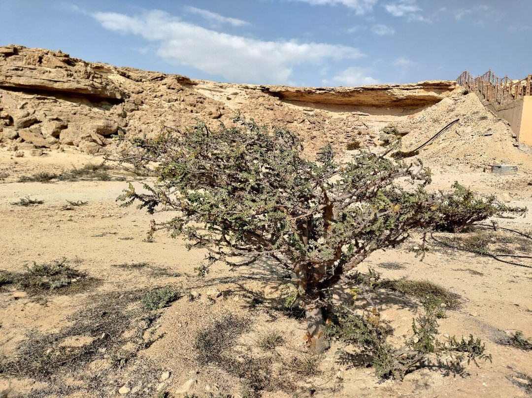 Wadi Dawkha景点图片